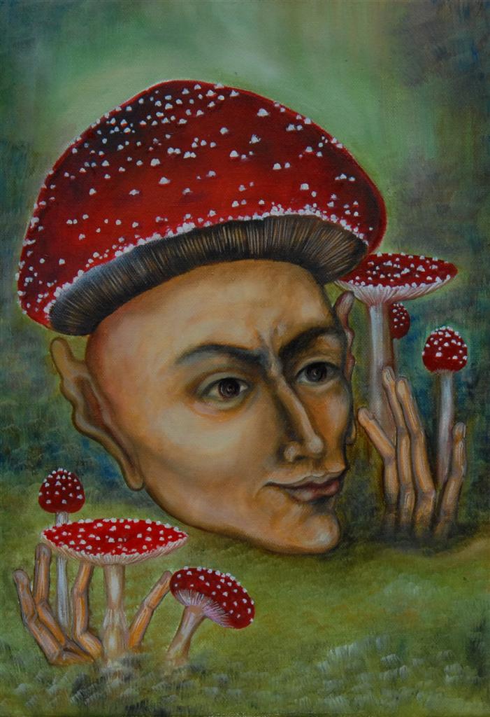Mushroom art - Amanita Muscaria