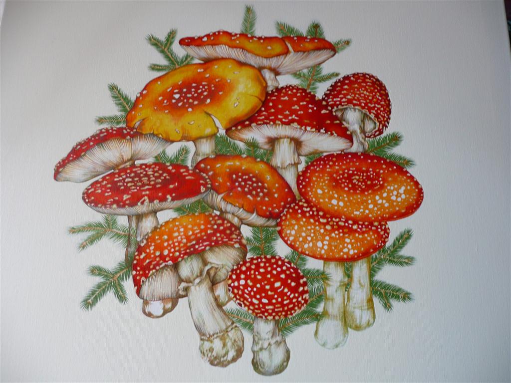 Mushroom painting - Amanita Muscaria, the drink of the gods